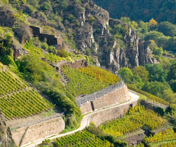 RPT Shooting 2007  Ahr/Rhein/Westerwald/Hunsrck