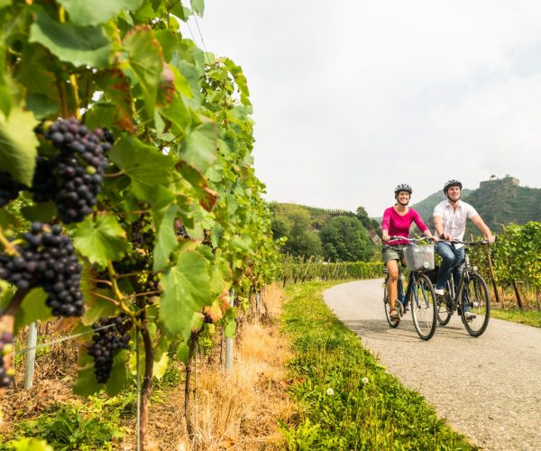 Ahrtaltourismus-2012-047