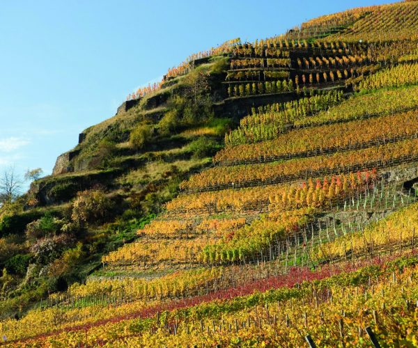 D. Ketz _ www.ahrtal.de