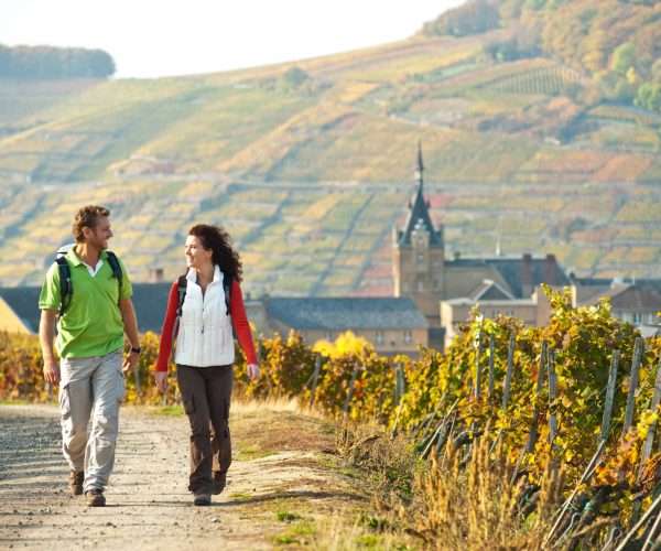 RPT-2009-Ahrsteig-077-Kloster Kalvarienberg-Ahrweiler
